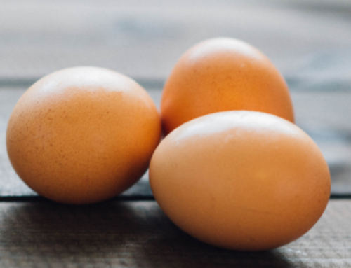 Choline to Enhance Fertility